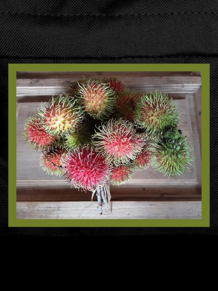 Fruit du litchi