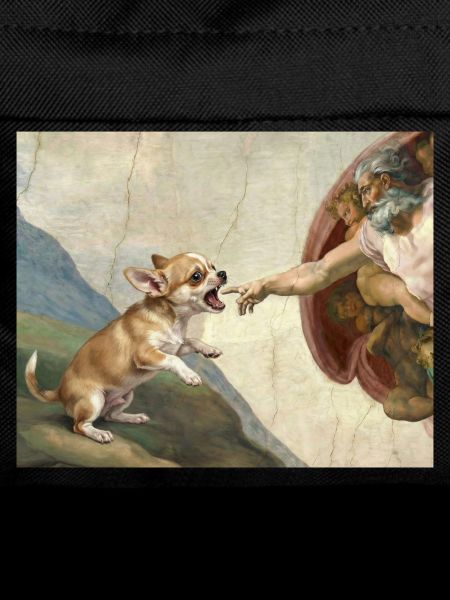 Dog God Hand Chihuahua Dogs meme