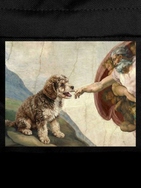Dog God Hand Poodle Dogs meme