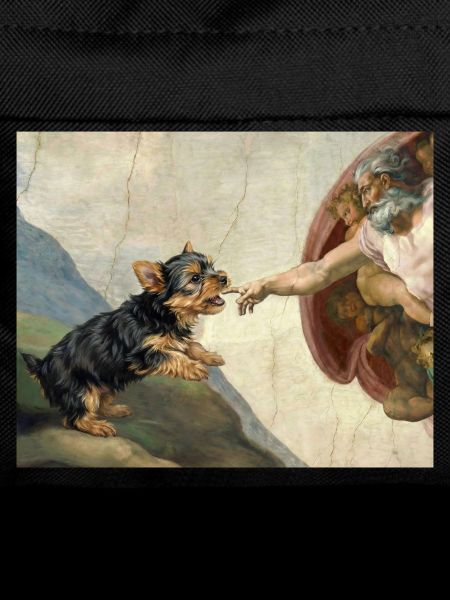 Dog God Hand Havanese Dogs meme