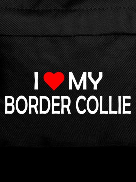 I love my Border Collie