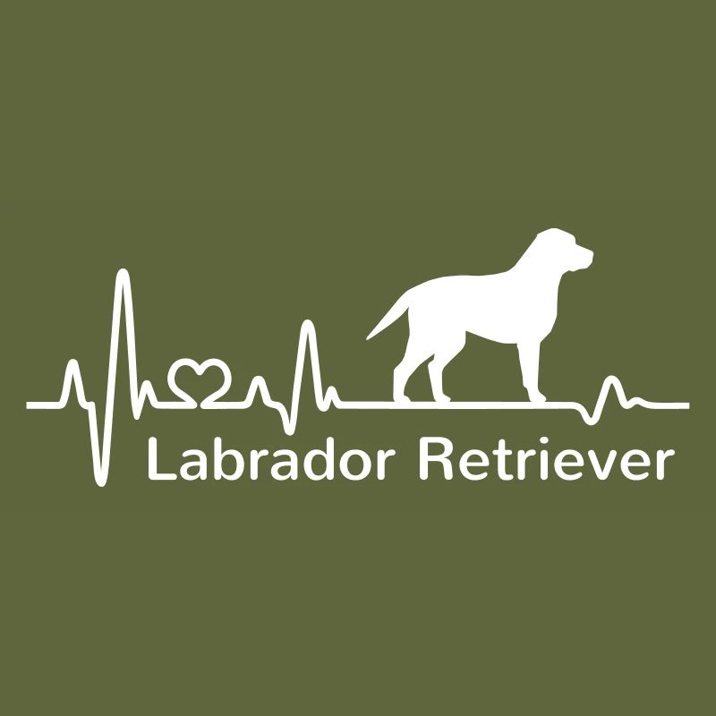 Labrador Retriever Herzfrequenz Herzschlag Liebe