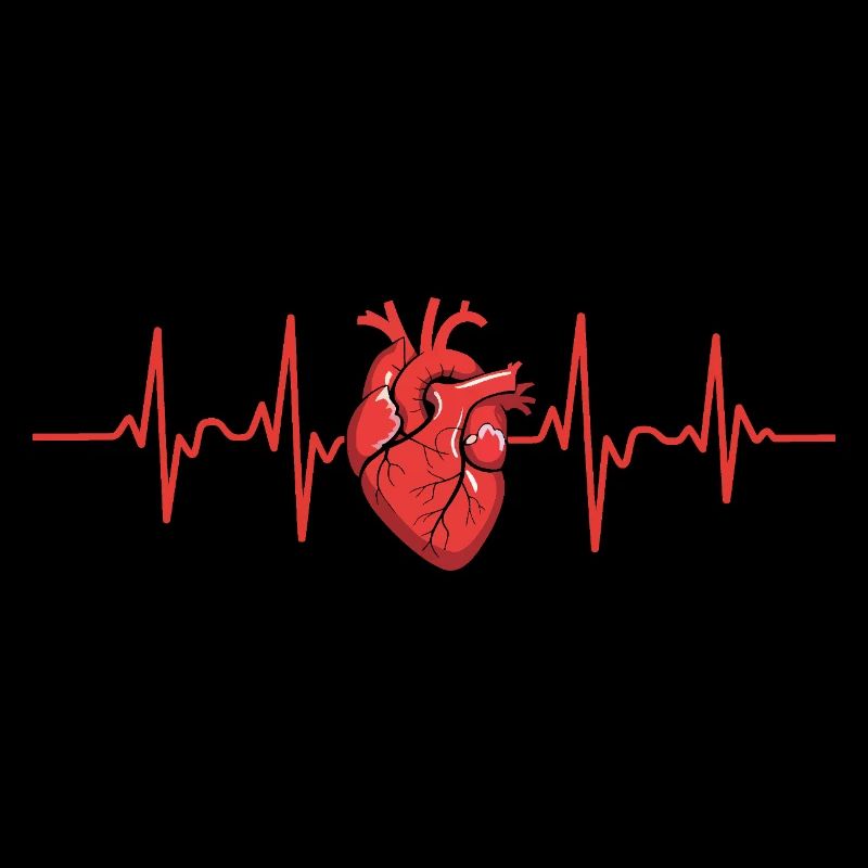 Conception du rythme cardiaque avec une focalisation anatomique