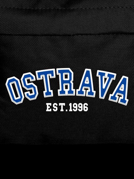 Ostrava fondée en 1996