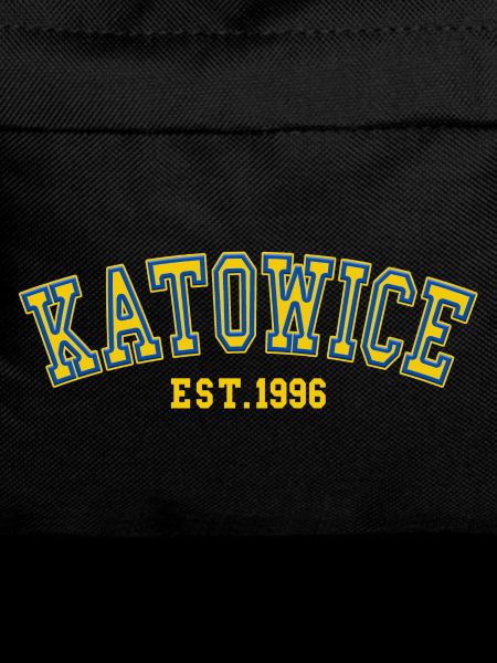Katowice fondée en 1996