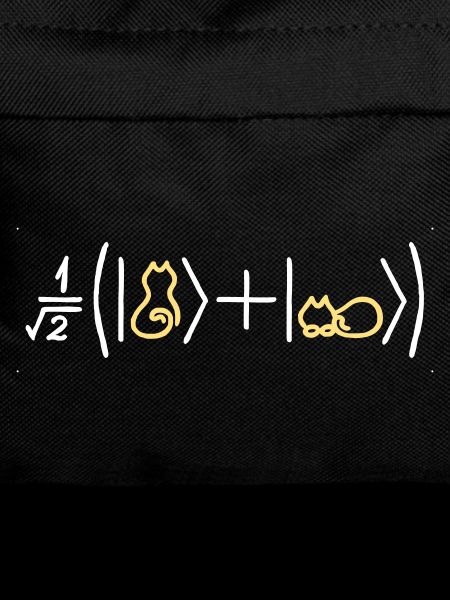 Katzenfreundliche Quantenmechanik