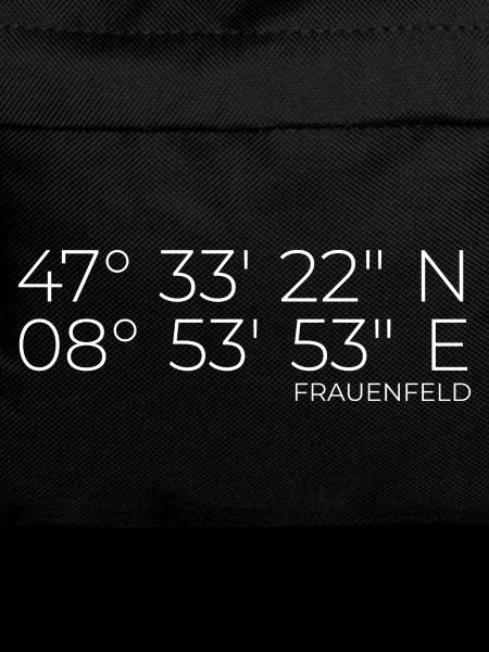 Coordinates Frauenfeld