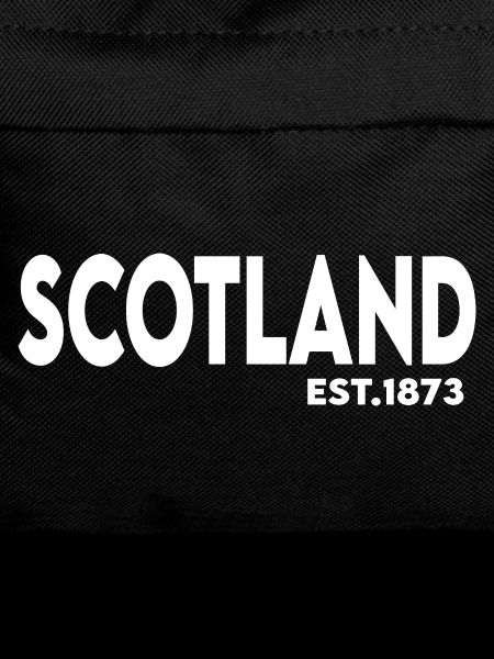 no_scotland_no_party