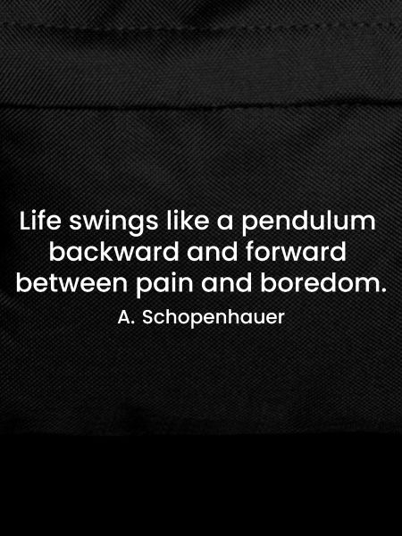 Schopenhauer sarcastic quote