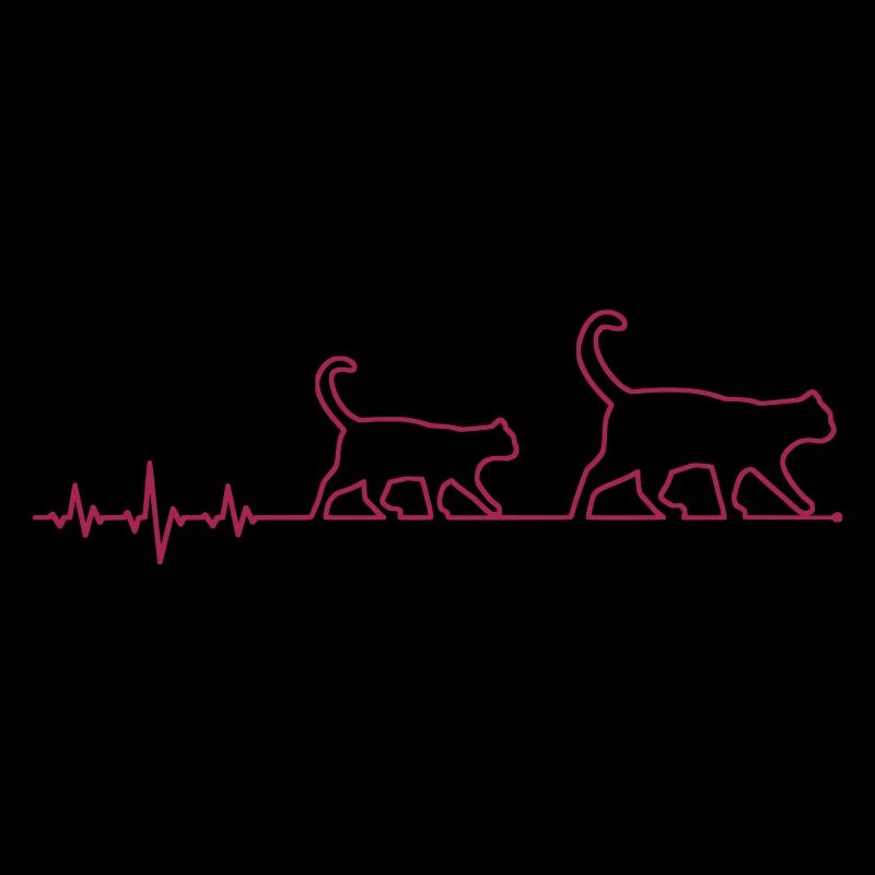 ekg katze