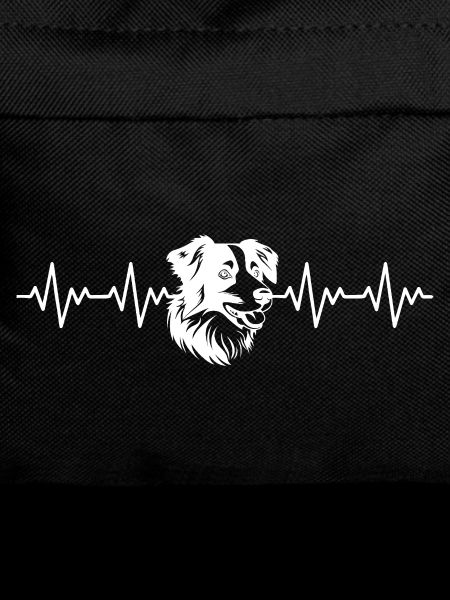 Border Collie ECG Heartbeat