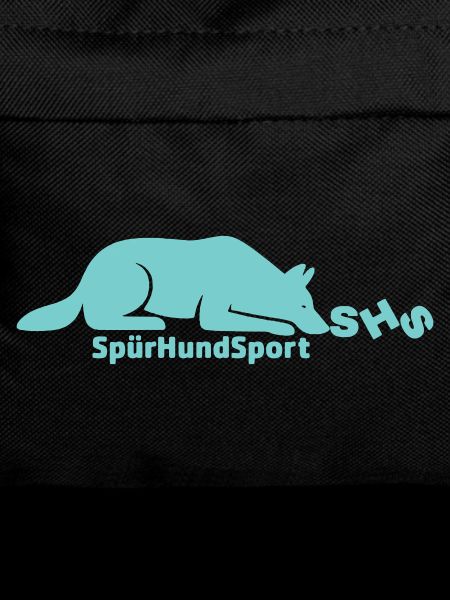 SHS logo mint
