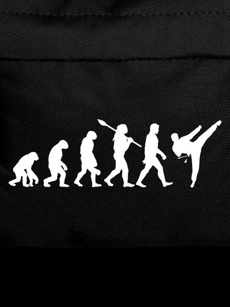 Evolution Fighting Judo Karate MMA Taekwondo