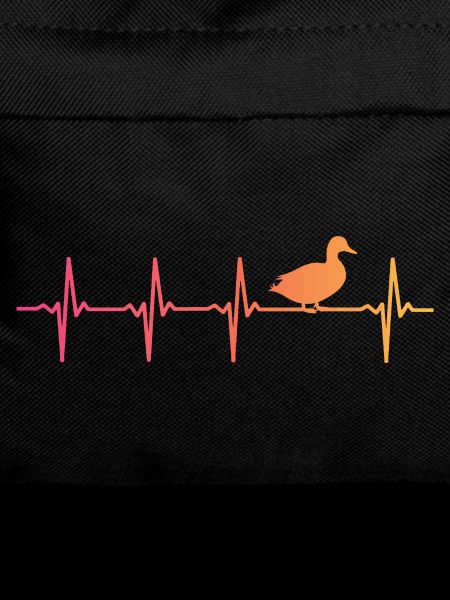 Duck Sunset Duck Flapping Ducks