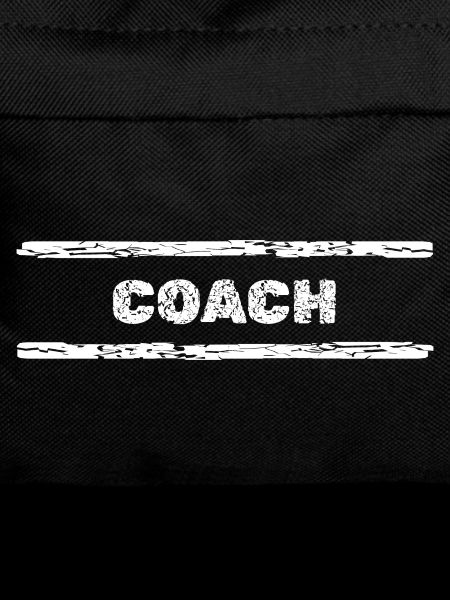 Beruf Coach