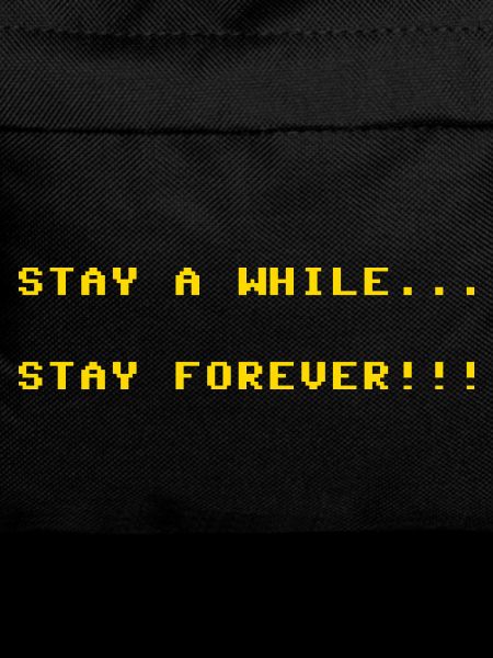 Stay_a_while_stay_forever