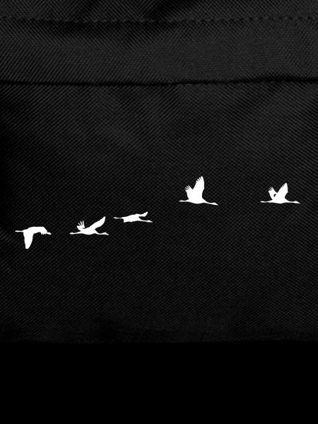 Oiseaux migrateurs blanc grue