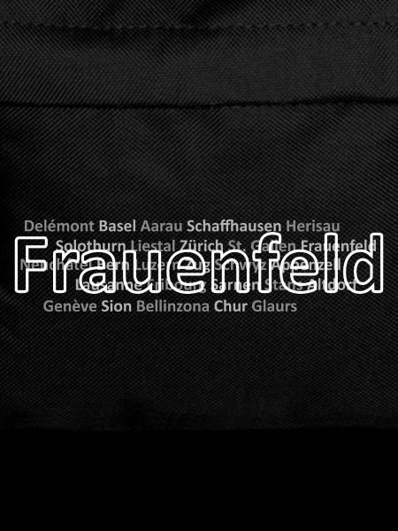 Schweizer Städte Frauenfeld