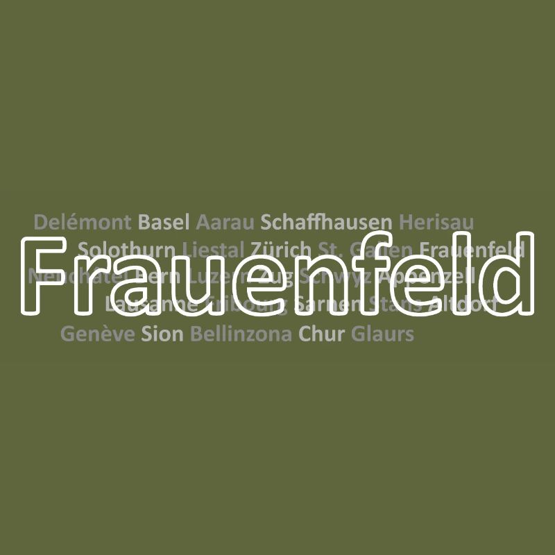 Schweizer Städte Frauenfeld