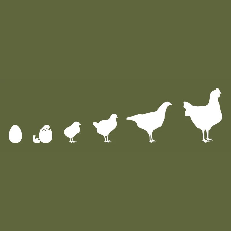 Fans de poulet - Coq - Coq - Poussin - Œuf - Bio