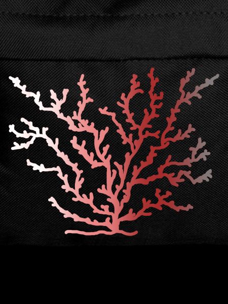 coralfantasy