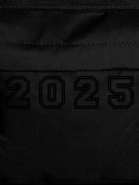 2025 Year Number