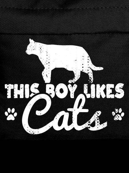 This boy likes cats