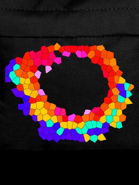 Voronoi Mosaic Orbit