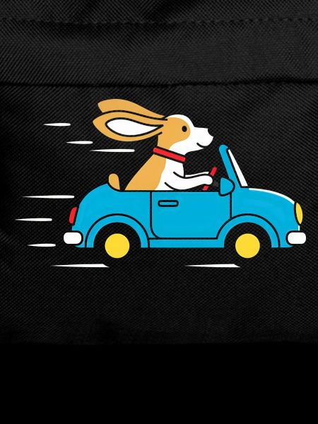 Rabbit in a convertible: Happy ride