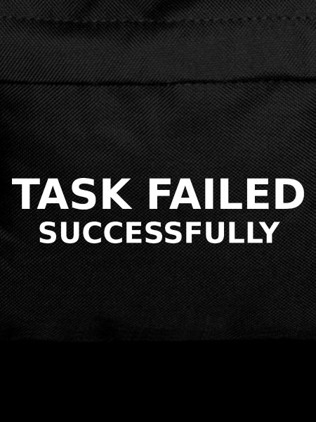 Task Failed Successfully