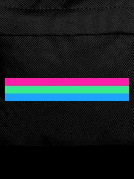 Polysexual flag