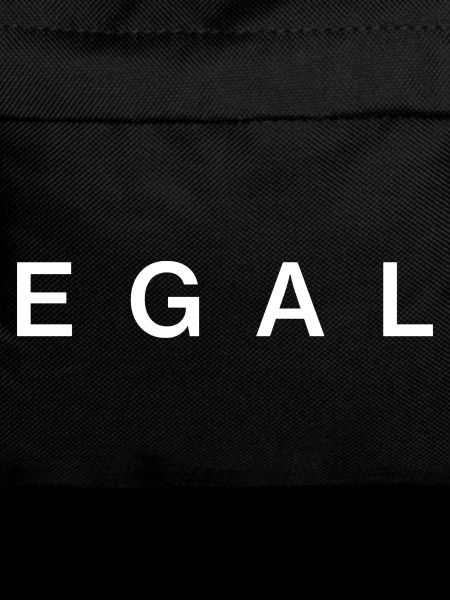 EGAL – Minimal Statement