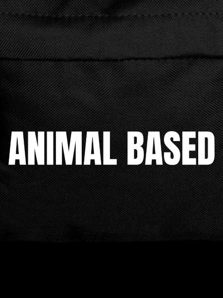 ANIMAL BASED | Carnivore | Ancestral Lifestyle