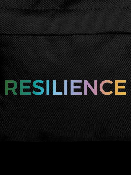 Resilience Gradient Typo
