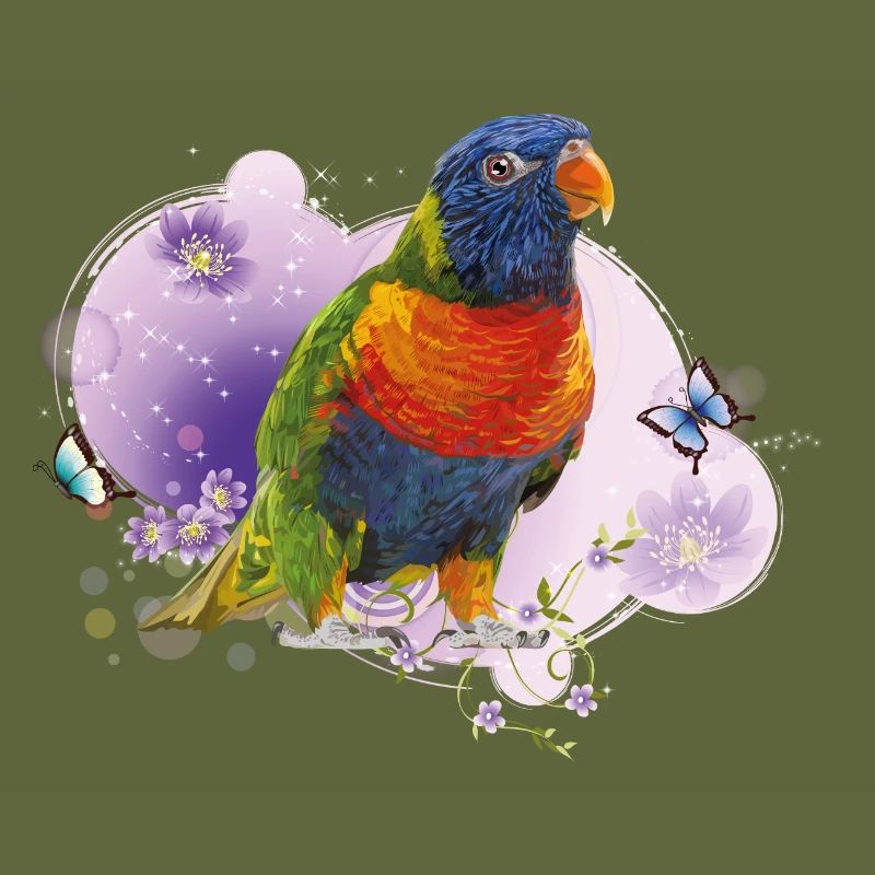 Regenbogen lori