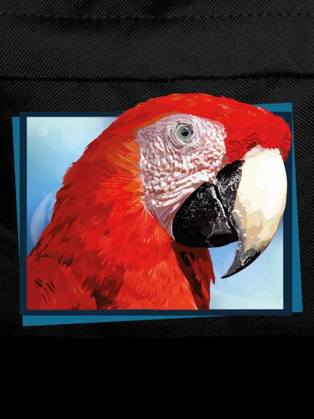 red macaw