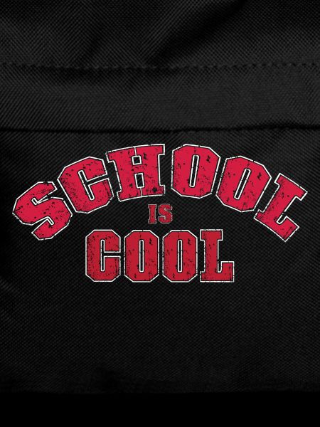 School is cool