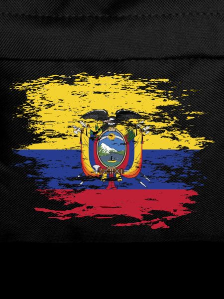 Ecuador flag used