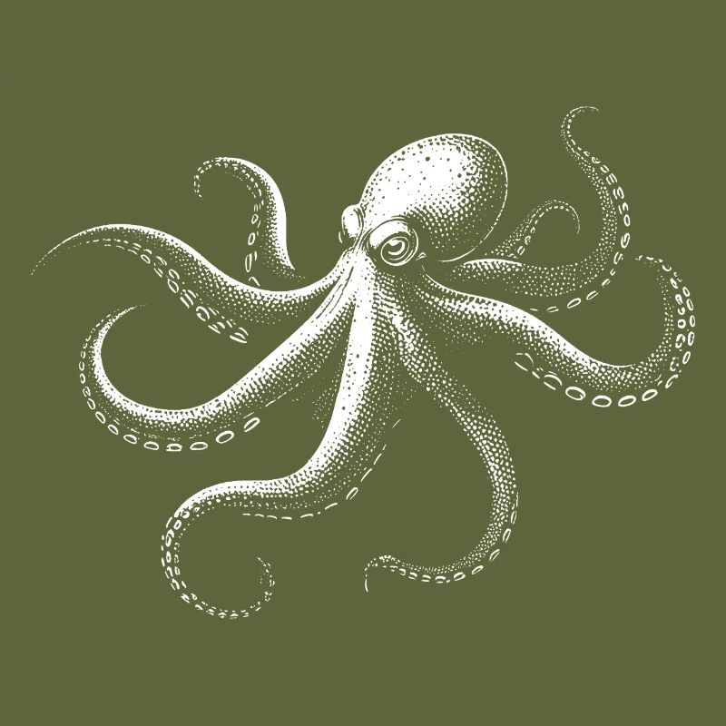 Octopus in Monochrome