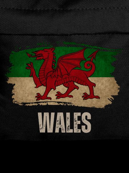 Flag of Wales, Welsh pride