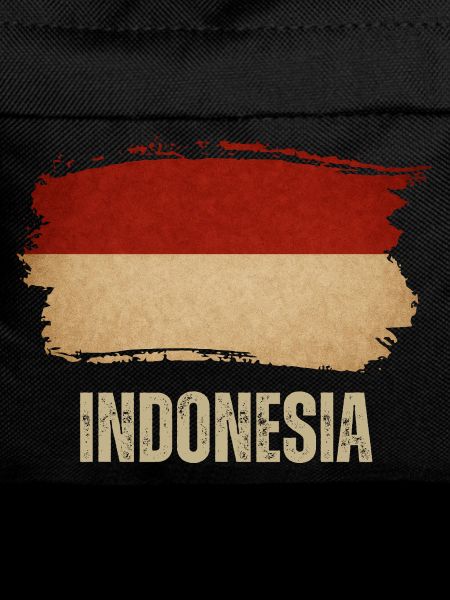 Indonesian grunge flag, Indonesian proud