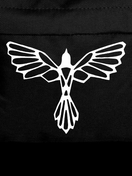 The flight of the white bird