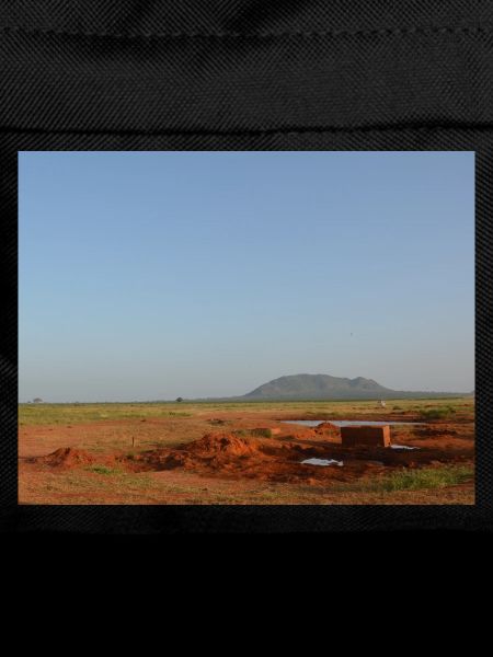 Desert Horizon and Red Soils
