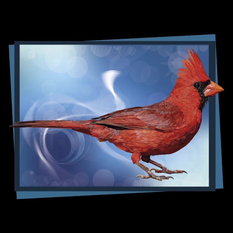 Der nördliche Kardinal