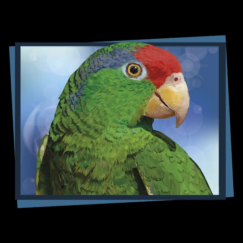 The Tamaulipas parrot