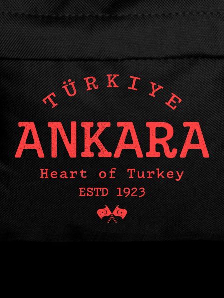 Ankara Heart of Turkey 1923