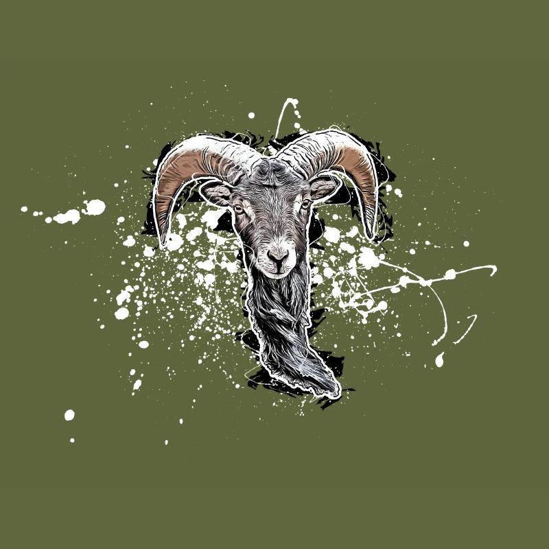 Bouc