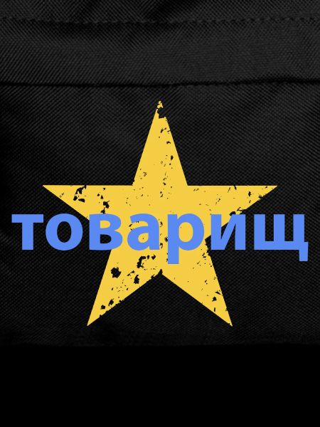 товарищ