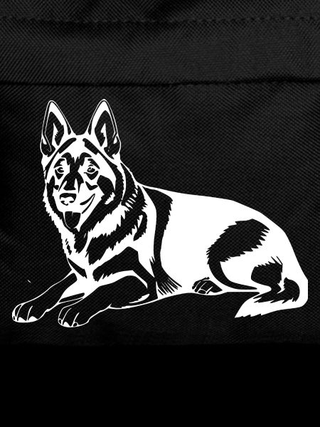 Chien de berger
