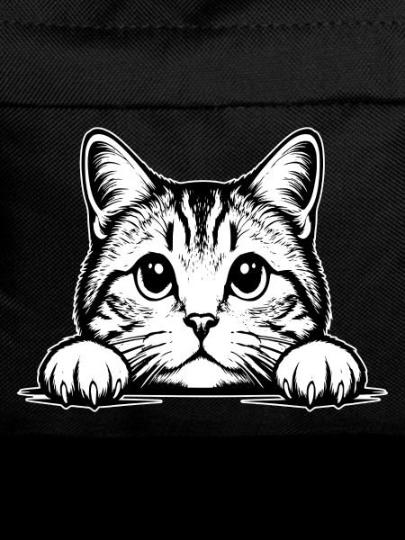 Chat Straigh écossais